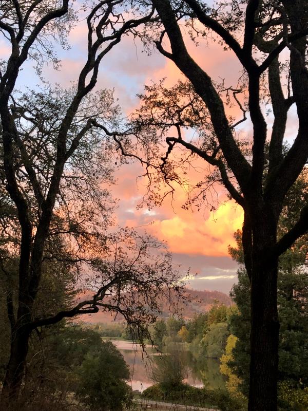 /Images/uploads/Sonoma County Regional Parks Foundation/springlake50/entries/28822thumb.jpg